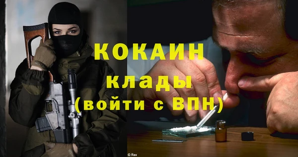 ПСИЛОЦИБИНОВЫЕ ГРИБЫ Новодвинск