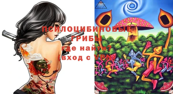 винт Новозыбков