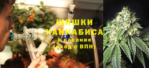 винт Новозыбков