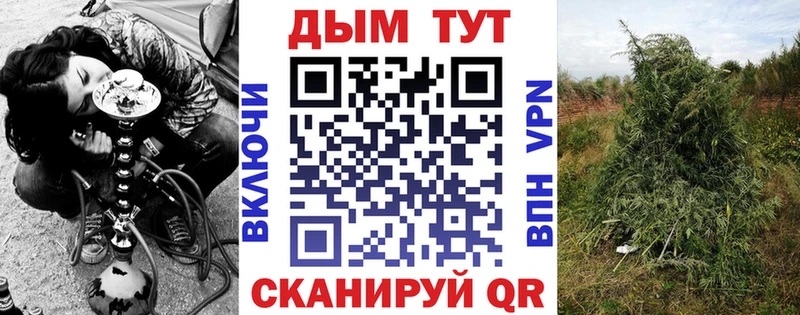 закладка  Багратионовск  mega вход  МАРИХУАНА конопля 